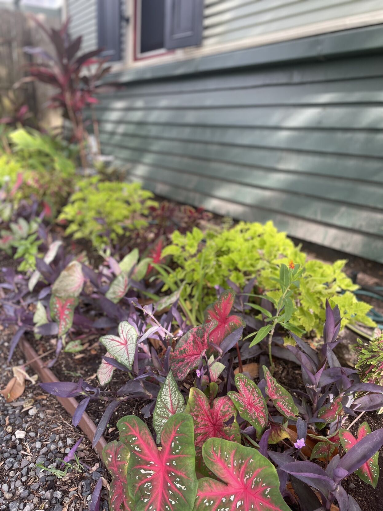Garden Variety